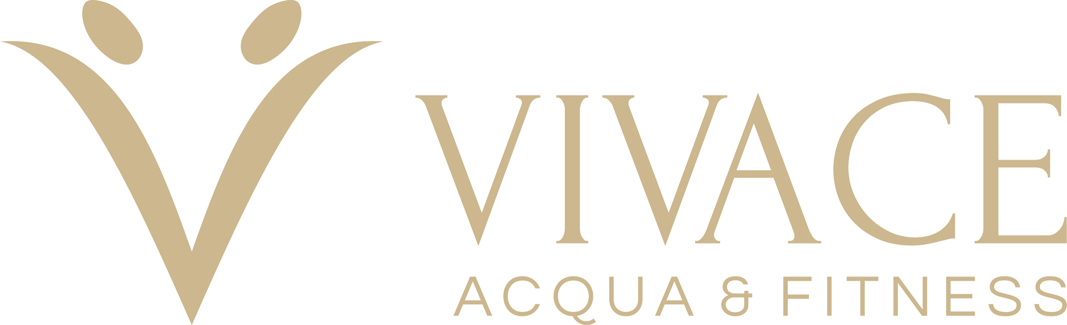 Vivace · Acqua & Fitness
